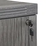 2 Drawer Lateral File Cabinet