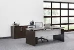 Office Desk and Storage Credenza Set