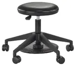 Lab Stool with Wheels