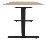 Rectangular Sit-Stand Desk