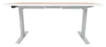 Electric Sit Stand Desk