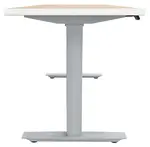 Electric Sit Stand Desk