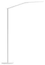 Adjustable LED Floor Lamp