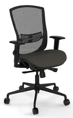 Mesh Back Office Chair with Lumbar Support