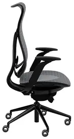 Ergonomic Office Chair