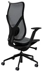 Ergonomic Office Chair