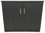 Small Storage Cabinet