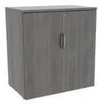 Office Storage Cabinet