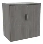 Office Storage Cabinet