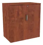 Office Storage Cabinet
