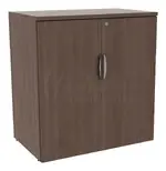 Office Storage Cabinet