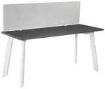 Small Desk with Privacy Panel