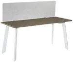 Small Desk with Privacy Panel