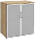 Office Storage Cabinet with Glass Doors