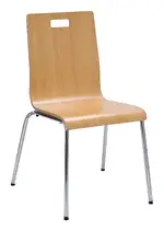 Modern Guest Chair