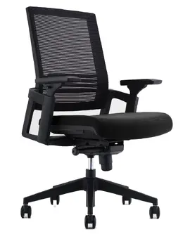 Mesh Back Task Chair with Lumbar Support - Forte