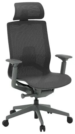 Ergonomic Office Chair with Headrest - Atlas II
