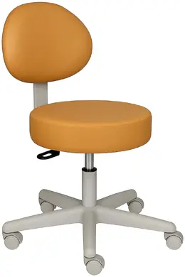 Medical Stool with Back - MDS