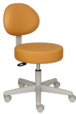 Tall Medical Stool with Back - MDS