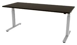 Electric Sit Stand Desk - PL Laminate