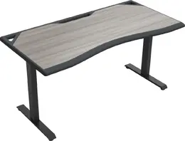 Gaming Computer Desk - Rogue