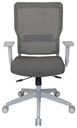 Mesh Back Office Chair - Rumor