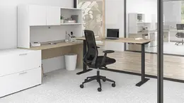Sit Stand L Shape Desk with Storage
