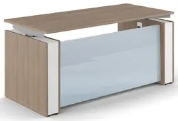 Sit Stand Desk with Glass Modesty Panel - Elevare
