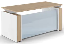 Standing Desk with Glass Modesty Panel - Elevare