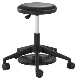 Lab Stool with Wheels