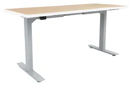 Electric Sit Stand Desk - ML