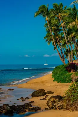 Kaanapali - Office Wall Art - Oceans Beaches Harbors