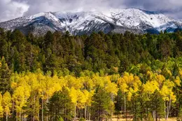 Dusted - Office Wall Art - Mountains