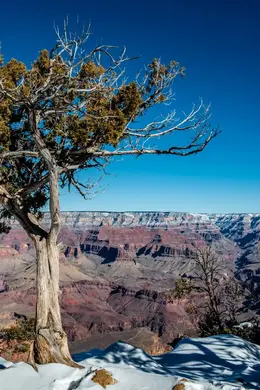 On the Edge Vertical - Office Wall Art - Desert Southwest