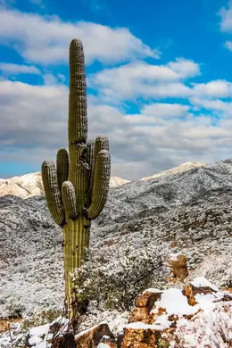 Winter in Carefree - Office Wall Art - Desert Southwest