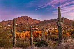 Rancho Manana Aglow - Office Wall Art - Desert Southwest