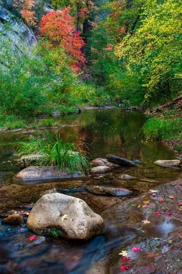 Oak Creek Crossing - Office Wall Art - Lakes Rivers Waterfalls