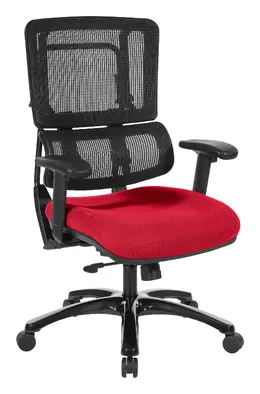 Ergonomic Chair with Mesh Back - Pro Line II