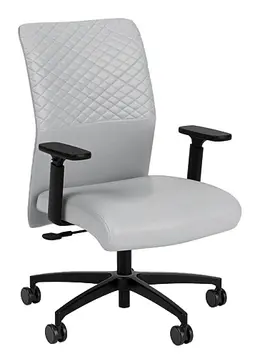 Adjustable Office Chair - Proform