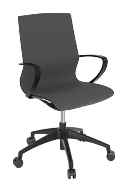 Executive Conference Chair - Marics