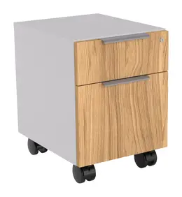 2 Drawer Mobile Pedestal - Apex