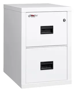 2 Drawer Fireproof File Cabinet - Legal & Letter Size - Turtle