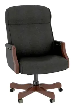 Executive Conference Chair - Austin