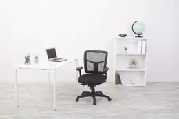 Mesh Back Task Chair with Arms - Pro Line II