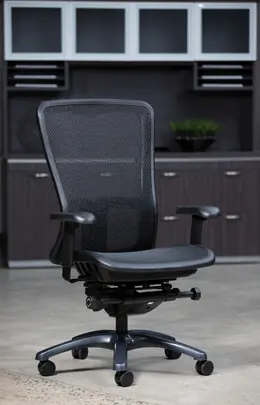 Full Mesh Task Chair - Pro Line II