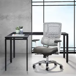 Ergonomic Task Chair with Lumbar Support - Pro Line II