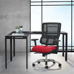 Ergonomic Task Chair with Mesh Back - Pro Line II