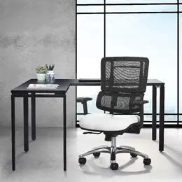 Ergonomic Office Chair with Lumbar Support - Pro Line II