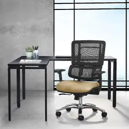 Ergonomic Office Chair with Lumbar Support - Pro Line II