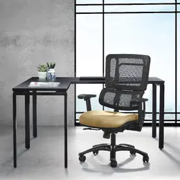 Task Chair with Lumbar Support - Pro Line II